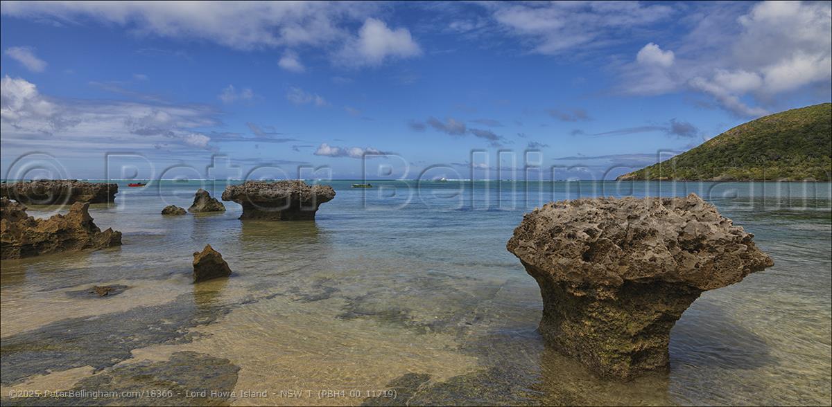 Peter Bellingham Photography Lord Howe Island - NSW T (PBH4 00 11719)